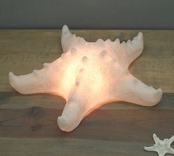 Decorative Lit Frosted Glass Starfish