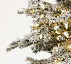 Narrow Natural Cut Winter Flocked Spruce