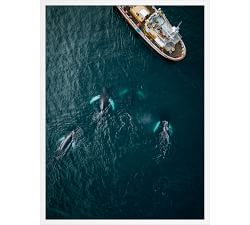 Away At Sea I By Michael Schauer