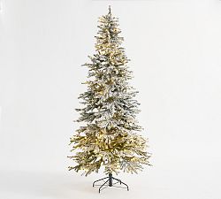 Narrow Natural Cut Winter Flocked Spruce