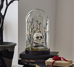 Lit Skull Cloche