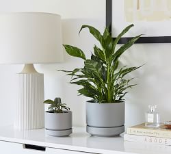 Modern Gray Ceramic Planters