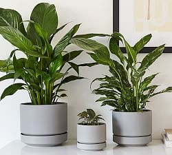 Modern Gray Ceramic Planters