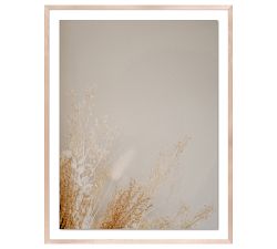 Dried Floral Framed Print By Annie Spratt