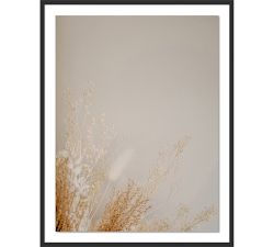 Dried Floral Framed Print By Annie Spratt