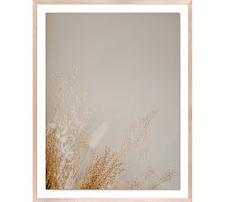 Dried Floral Framed Print By Annie Spratt