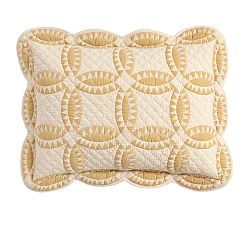 Open Box: Cooper Quilted Sham, Standard, Set of 2 - Gold
