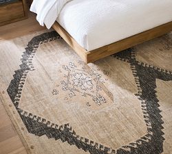 Demitria Hand-Knotted Wool Rug