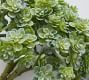 Faux Sedum Succulent Bundle