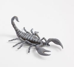 Wednesday Lit Nero Scorpion