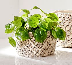 Faux Potted Pothos Houseplant
