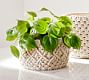 Faux Potted Pothos Houseplant