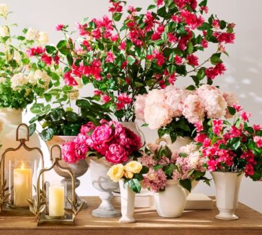 The Holiday Botanicals Shop