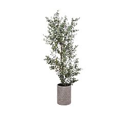 Faux Eucalyptus Tree In Cement Planter - 8'