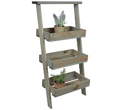 Belsay Wooden Plant Ladder