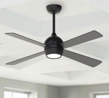 Ceiling Fans