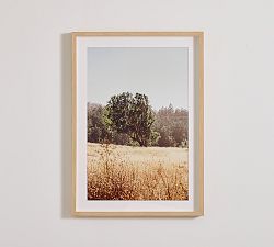 Meadow of Gold by Meg Haywood Sullivan