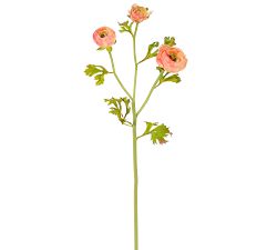 Faux Ranunculus Dozen Stems