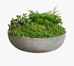 Makayla Bowl Planters
