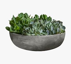 Makayla Bowl Planters