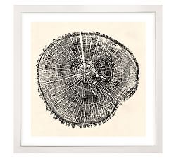 Wood Cross Sections Framed Print