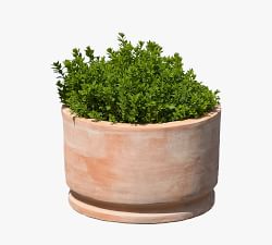 Jaylah Round Terracotta Planters