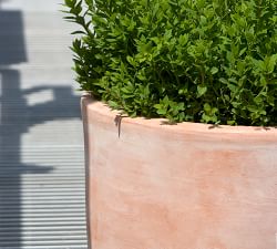 Jaylah Round Terracotta Planters