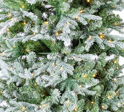 Narrow Natural Cut Winter Flocked Spruce