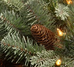 Open Box: Lit LED Faux Arctic Spruce Mailbox Swag