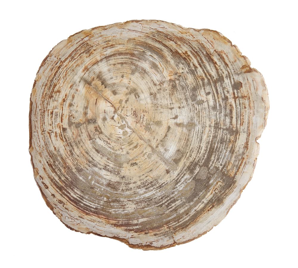 Fortessa Petrified Wood Charcuterie Boards - 8-10" dia.