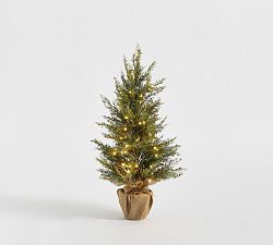 Open Box: Lit Cedar Berry Pine Tree (3')