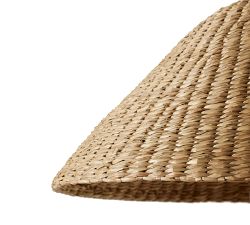 Frannie Iron Swing Arm Sconce (10")