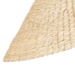 Frannie Iron Tripod Floor Lamp (62")