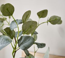 Faux Silver Dollar Eucalyptus Mini Tree
