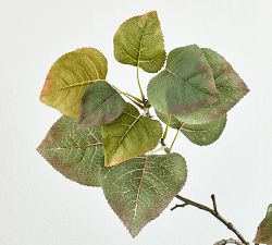 Faux Turning Aspen Branch