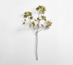 Faux Turning Aspen Branch
