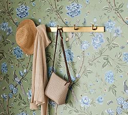 Everson Row Of Hooks