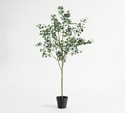 Open Box: Faux Silver Dollar Eucalyptus Tree With Plastic Pot Only, 9' - Green