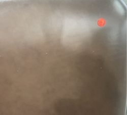 Open Box: Layton Grand Leather Dining Chair - Burnished Walnut, Vintage Amber Legs