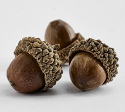 Acorn Vase Filler
