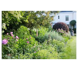 The New Romantic Garden by Jo Thompson