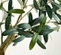 Faux Potted Olive Houseplant