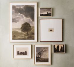 Cypress Grove by Chelsea Fly