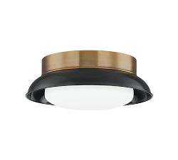 Dixon Metal Flush Mount (14.5")