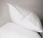 Dream Brushed Cotton Sateen Comforter Sham