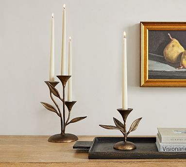 ☆botanical candle holder Botanical Candle Holder | Pottery Barn