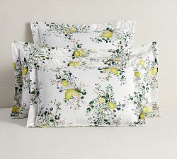 Monique Lhuillier Positano Percale Sham, Euro - Thumbnail 4