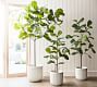 Faux Fiddle Leaf Fig Trees