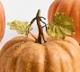 Faux Pumpkins &amp; Gourds - Set of 5