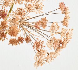 Faux Queen Anne's Lace Branch